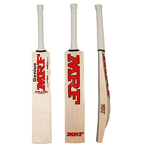 Best cricket bats in 2022 [Based on 50 expert reviews]